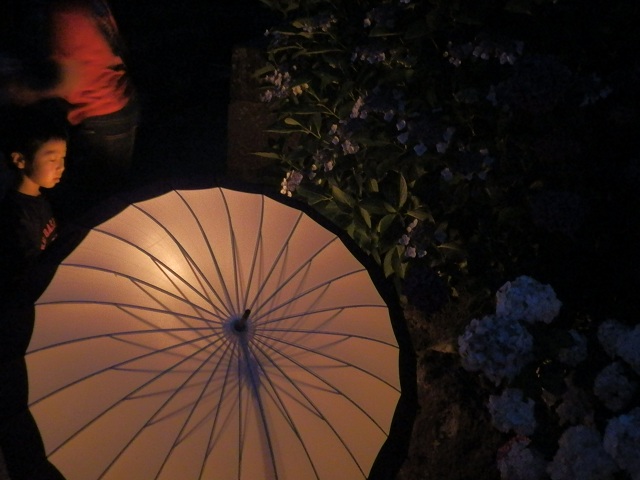 c0042869_1953443.jpg