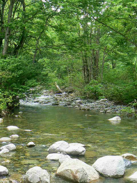 e0266070_9392852.jpg