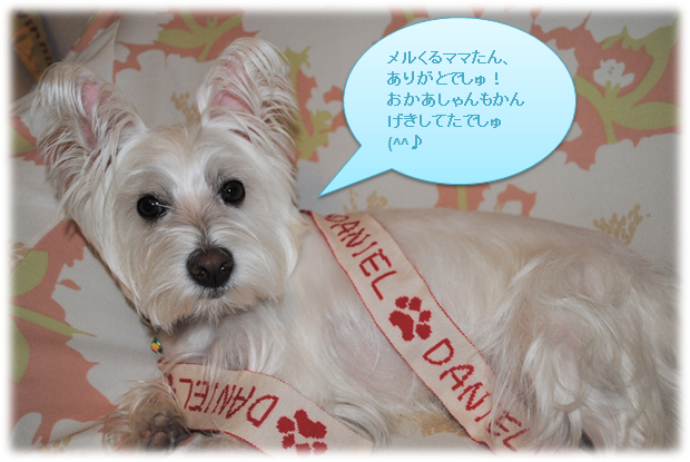 b0242873_1421929.png
