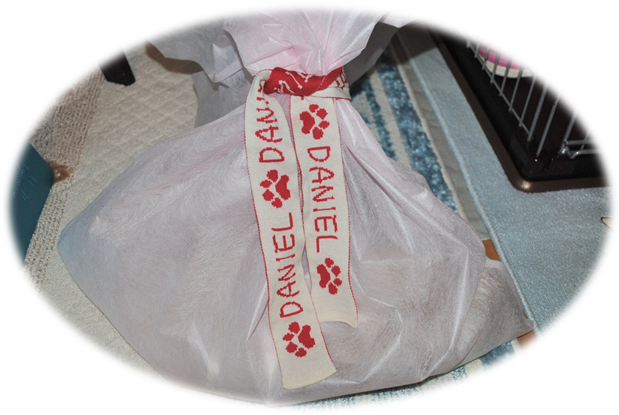 b0242873_143481.png