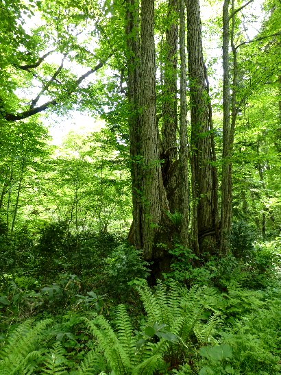 d0084473_20195433.jpg