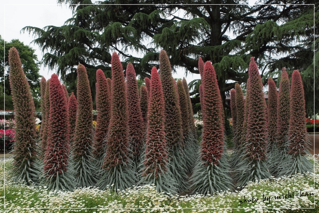 e0215073_9403464.jpg