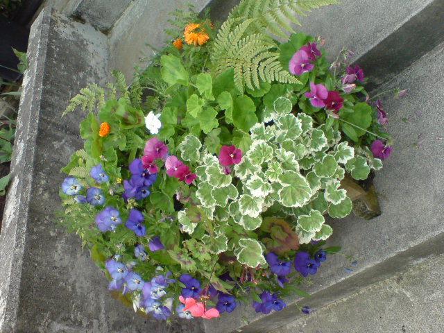 d0182179_18522686.jpg