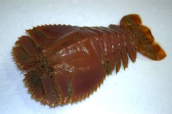 e0058280_14142742.jpg