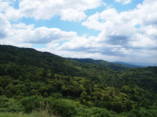 f0103688_20541225.jpg