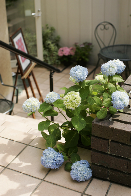 a0025490_2452135.jpg