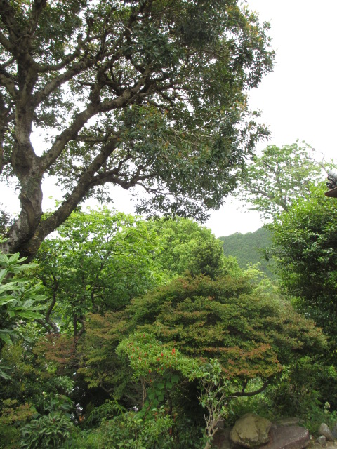 a0193698_19501996.jpg
