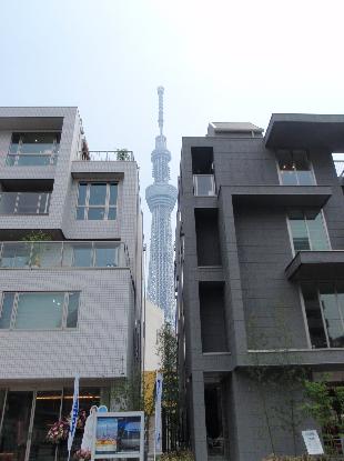 e0077899_7281865.jpg