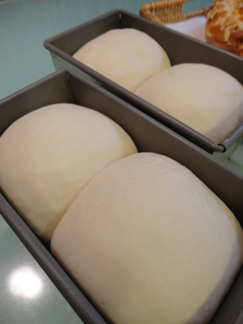 c0137300_23424097.jpg