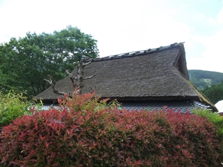 d0240201_1227125.jpg