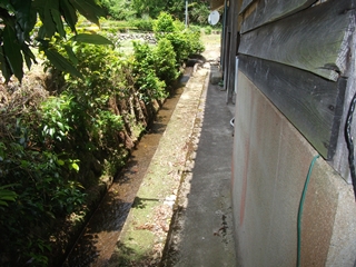 d0240201_1228585.jpg