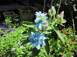 c0152002_10211428.jpg