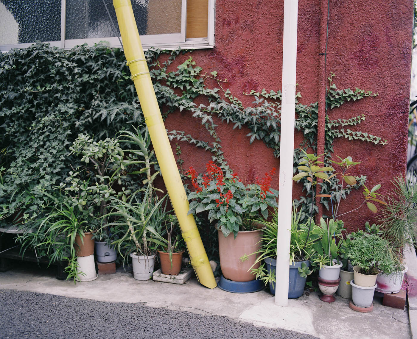c0120903_317374.jpg