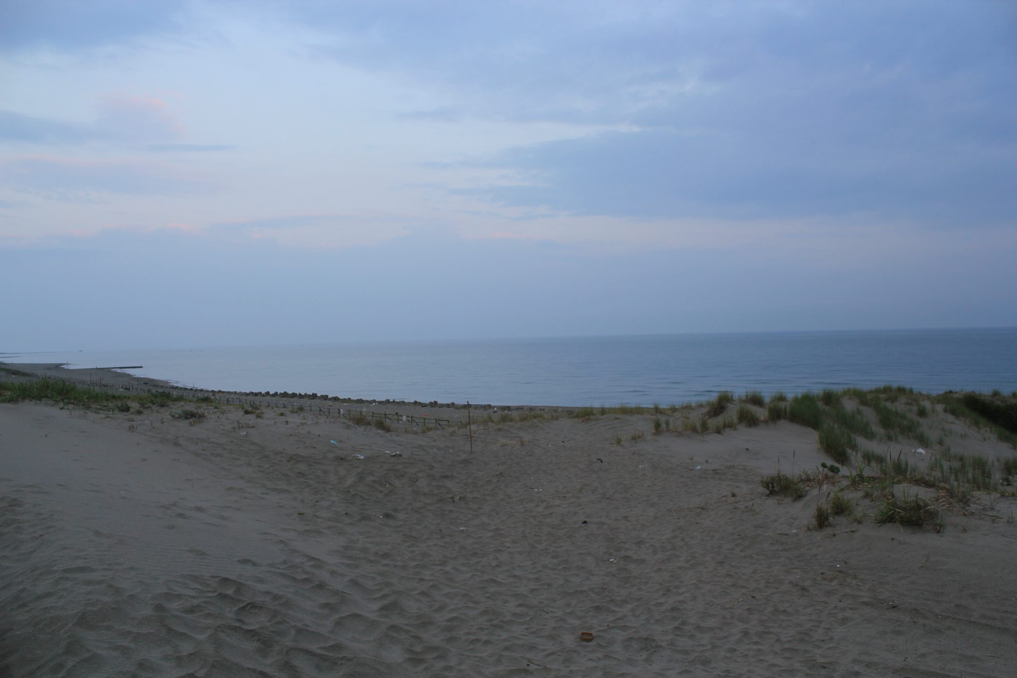 a0264604_7354892.jpg