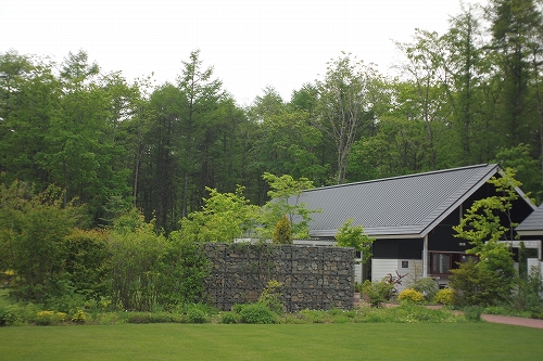 c0202705_9458100.jpg