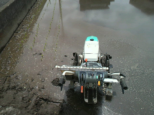 f0127408_2282640.jpg