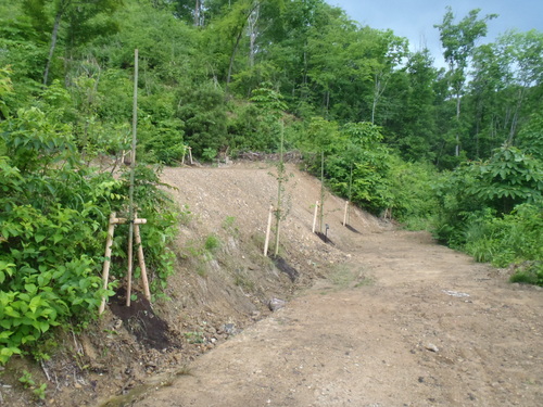 c0209409_10441294.jpg