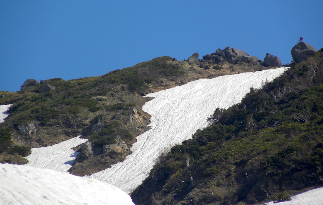 c0078410_872118.jpg