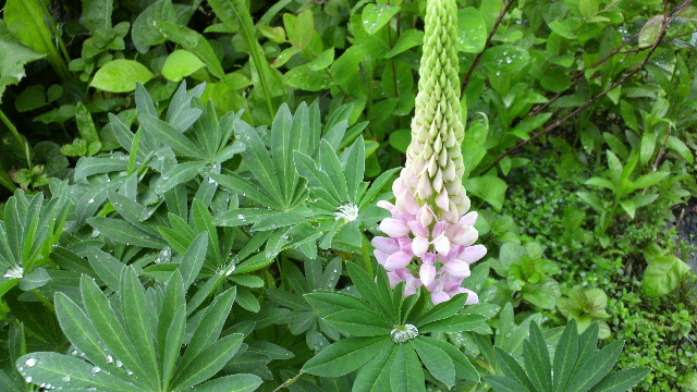 b0035611_22103430.jpg