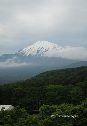 e0136511_610123.jpg