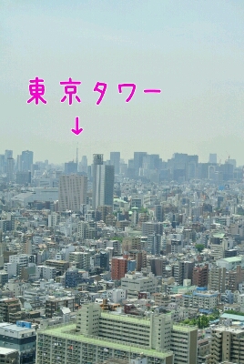 b0236618_7205841.jpg