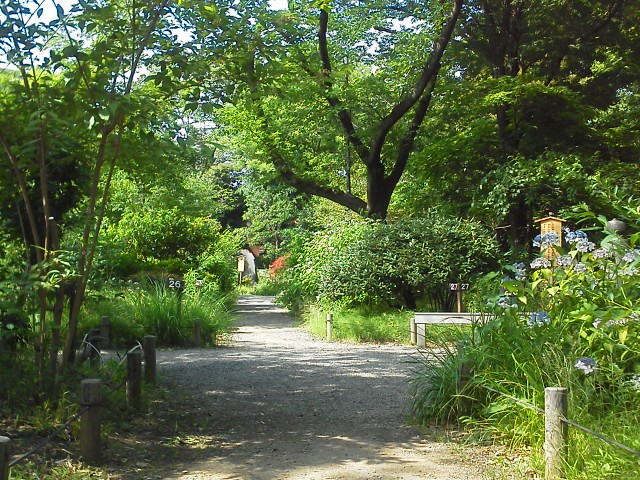 a0268821_225628.jpg