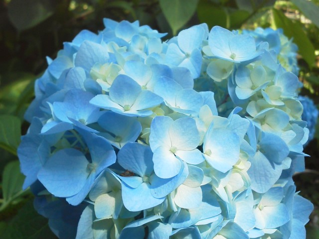 a0268821_2312597.jpg
