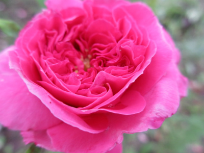 f0054421_7574631.jpg