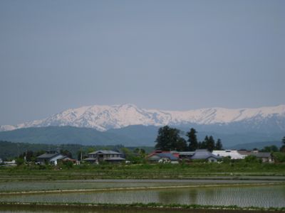 f0158625_1534513.jpg