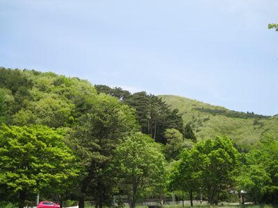 f0158625_15364840.jpg