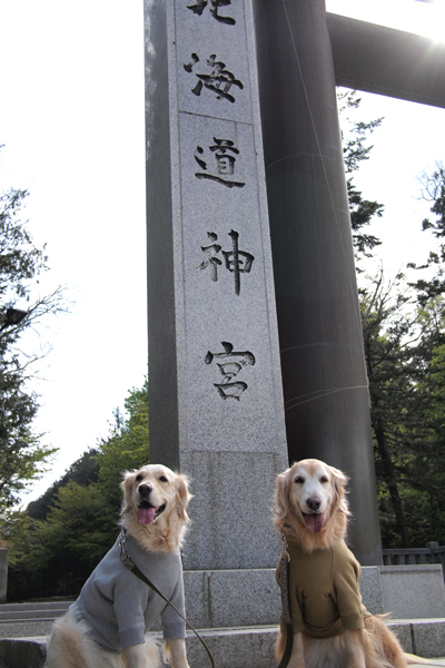 f0227228_1332136.jpg