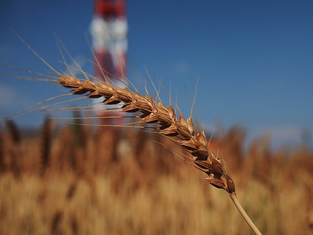 b0134829_11415369.jpg