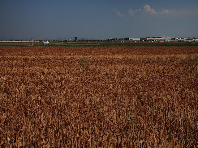 b0134829_11421136.jpg