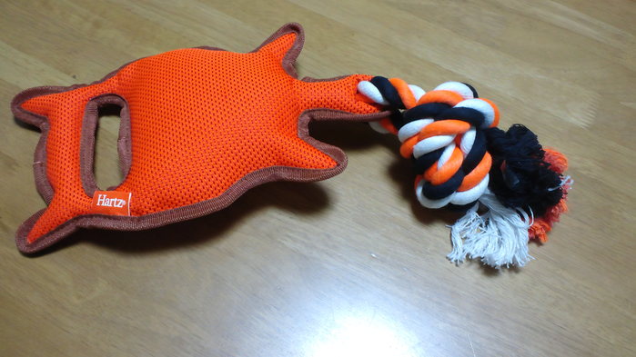 c0236632_2355852.jpg