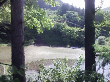 f0147037_2041515.jpg