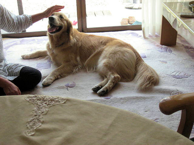 a0149240_713047.jpg