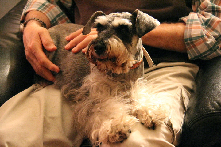 c0153740_1661290.jpg