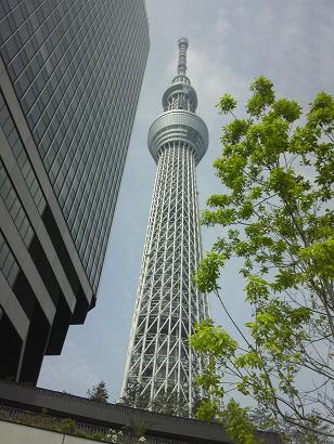 c0227640_255852.jpg