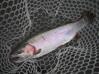 f0065341_13315234.jpg