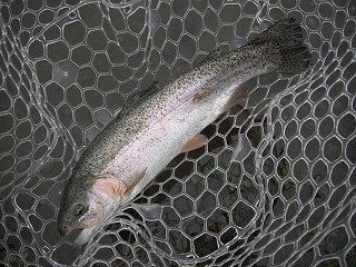 f0065341_13323280.jpg
