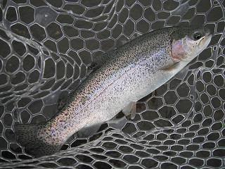 f0065341_13334465.jpg