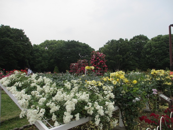 a0051443_21274491.jpg