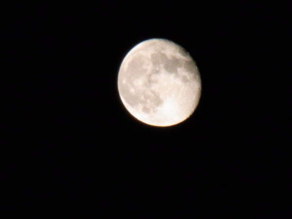 a0175545_06219.jpg
