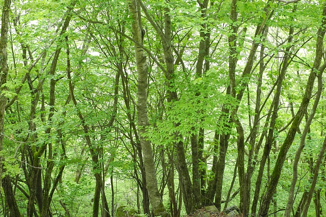 b0122448_17401524.jpg