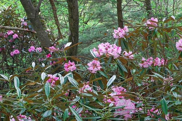 b0122448_17435020.jpg