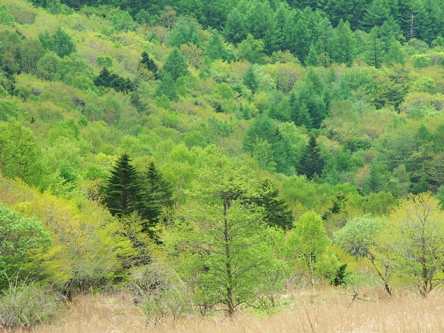 b0122448_1745683.jpg