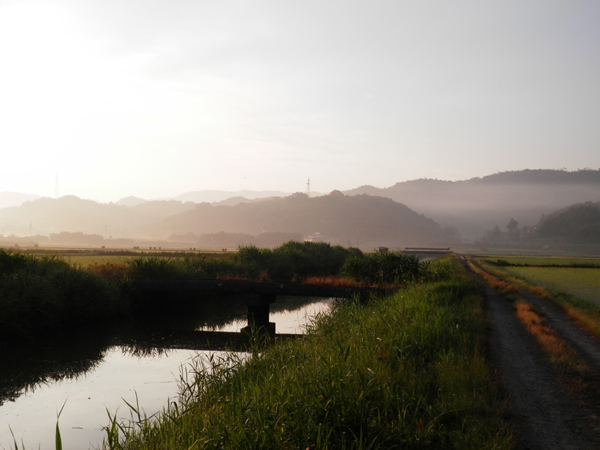 f0214649_712348.jpg