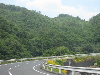 d0031853_3231316.jpg