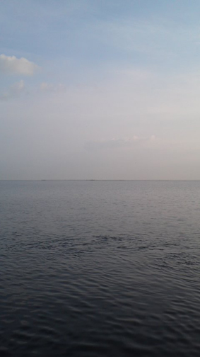 f0178153_6104882.jpg