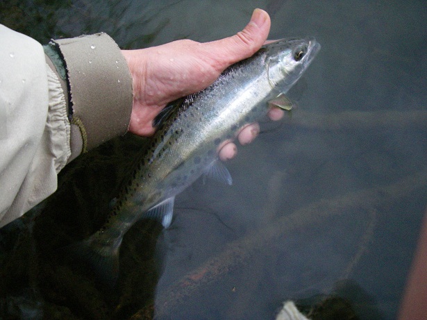 f0212059_7404035.jpg